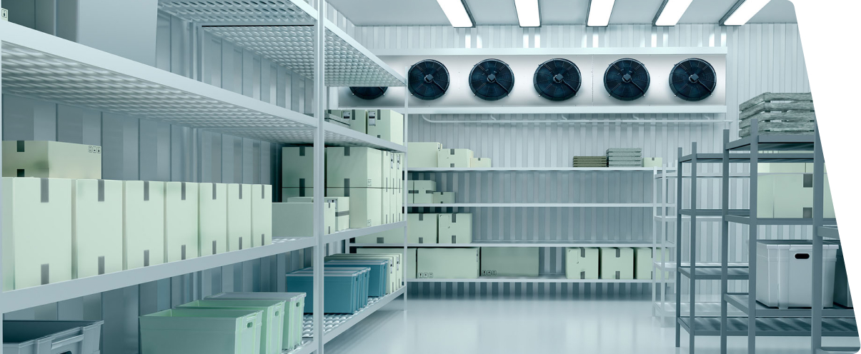 Dry and Cold Storage 