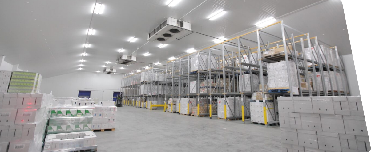 Warehousing and Cold Storage